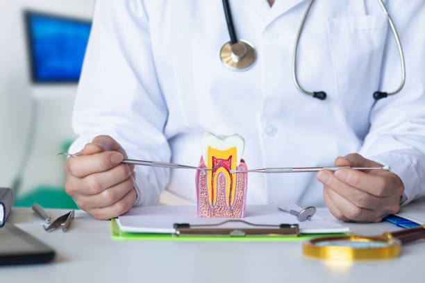 Best Emergency Wisdom Tooth Extraction in West Liberty, OH